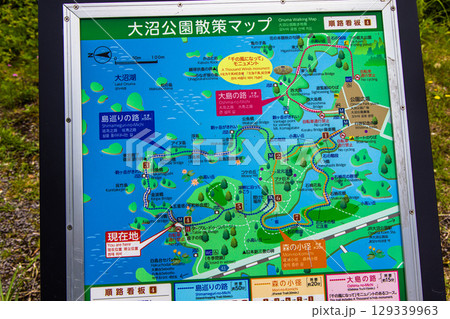 【北海道_函館市_大沼公園】睡蓮やネムロコウホネの出迎の大沼国定公園 【北海道_函館市_大沼公園】睡蓮やネムロコウホネの出迎の大沼国定公園 129339963