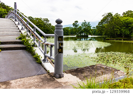 【北海道_函館市_大沼公園】睡蓮やネムロコウホネの出迎の大沼国定公園 129339968