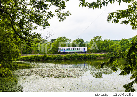 【北海道_函館市_大沼公園】大沼国定公園と函館本線 129340299