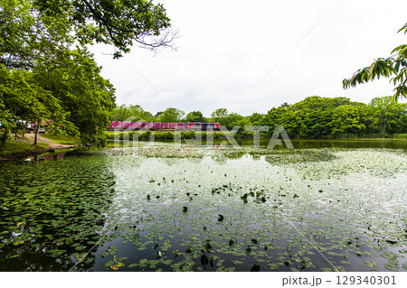 【北海道_函館市_大沼公園】大沼国定公園と函館本線 129340301
