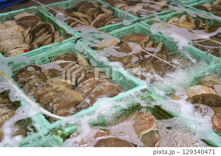 函館朝市の生簀（ホタテ） 129340471