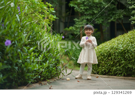 happy toddler girl in white dress with Ruellia simplex or Mexican petunia flower in garden 129341269
