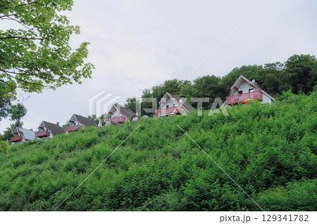 Picturesque row of charming cottages nestled on a lush green hillside, surrounded by dense foliage and trees. The serene setting offers a tranquil escape into natures beauty. Picturesque row of charming cottages nestled on a lush green hillside, surrounded by dense foliage and trees. The serene setting offers a tranquil escape into natures beauty. 129341782