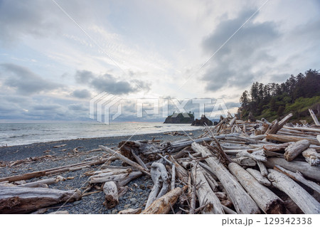Pacific Ocean coast near Olympic National Park 129342338