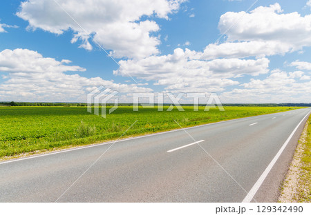 Endless asphalt road stretching through a summer landscape of green fields under a sunny sky 129342490