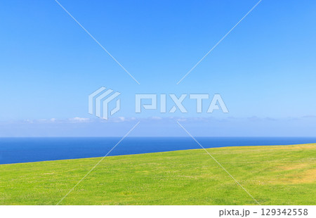 Green lawn with blue ocean in the background on a sunny summer day 129342558