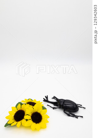 カブトムシとひまわり 129342603