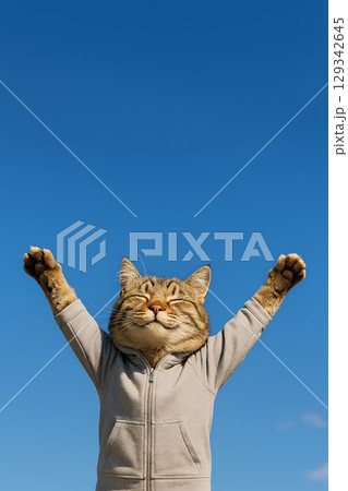 パーカー姿の猫が空に向かって伸びをする様子 129342645