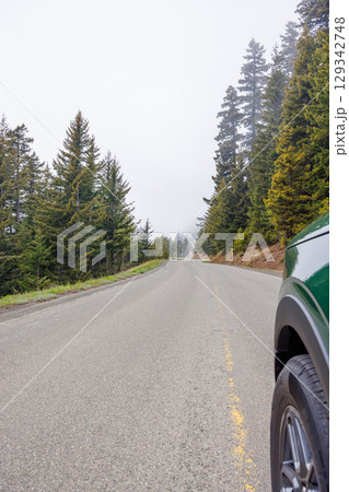 Road winding through Olympic National Park surrounded by tall, dense forest Road winding through Olympic National Park surrounded by tall, dense forest 129342748