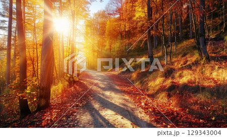 Golden sunlight filters through trees onto a winding path adorned with vibrant autumn foliage, showcasing nature's beauty. 129343004