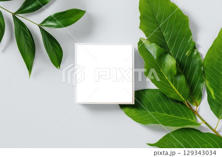Empty square frame on light background with green leaves for creative display or decoration 129343034