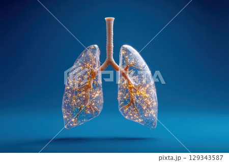 Lungs illuminated with sparkling light against a blue background showcasing respiratory structure Lungs illuminated with sparkling light against a blue background showcasing respiratory structure 129343587