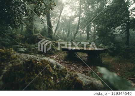 A misty forest clearing with a moss-covered bench, dewy leaves. conceptual image for National Relaxation Day, no people 129344540