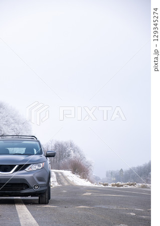Gray Car on Snowy Road with Bare Trees 129345274