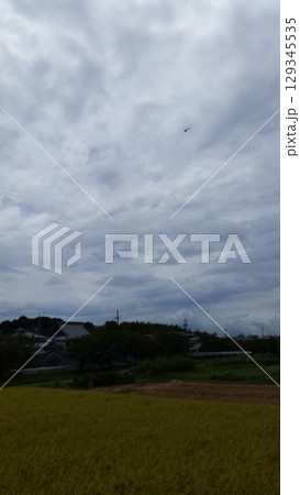 暗いね。曇り空7割地面3割かな? 暗いね。曇り空7割地面3割かな? 129345535