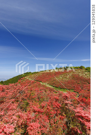 日本の奈良にあるつつじで有名な山_葛城山_縦位置 日本の奈良にあるつつじで有名な山_葛城山_縦位置 129345838