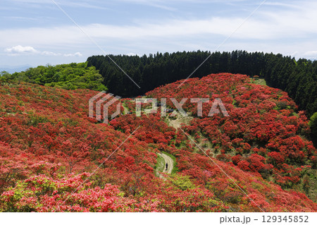 日本の奈良にあるつつじで有名な山_葛城山_横位置 129345852