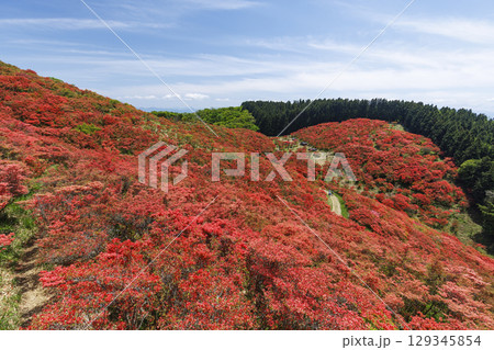 日本の奈良にあるつつじで有名な山_葛城山_横位置 日本の奈良にあるつつじで有名な山_葛城山_横位置 129345854