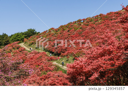 日本の奈良にあるつつじで有名な山_葛城山_横位置 日本の奈良にあるつつじで有名な山_葛城山_横位置 129345857
