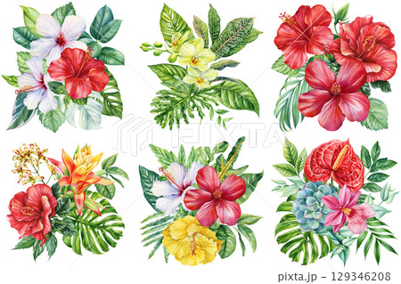 tropical floral bouquet set with hibiscus orchid anthurium and exotic leaves in watercolor botanical summer collection tropical floral bouquet set with hibiscus orchid anthurium and exotic leaves in watercolor botanical summer collection 129346208
