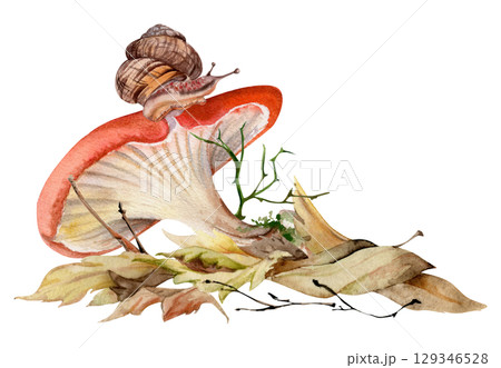 Russula cortinarius webcap mushroom, crawling snail on cap, on top of fallen autumn leaves pile with twigs. Forest floor, backyard garden scene. Fungi natural illustration hand drawn in watercolor. 129346528