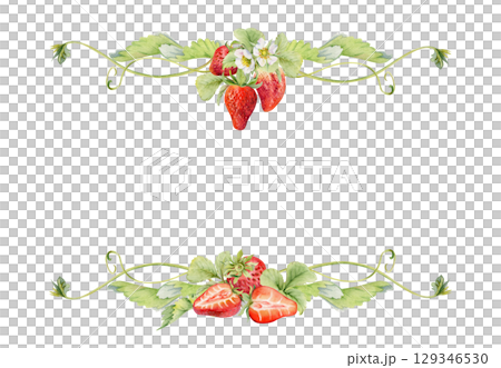 Strawberry hanging on stems with vines tendrils, ripe garden berry pineberry strasberry. Isolated hand drawn watercolor vignette frame. Farmers market, eco gardening calendar, food packaging cards Strawberry hanging on stems with vines tendrils, ripe garden berry pineberry strasberry. Isolated hand drawn watercolor vignette frame. Farmers market, eco gardening calendar, food packaging cards 129346530