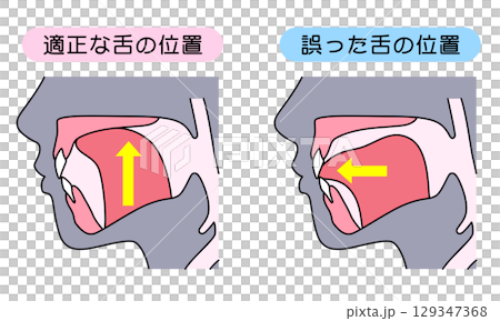 如何正確喵喵叫：正確且不正確的舌頭位置 129347368