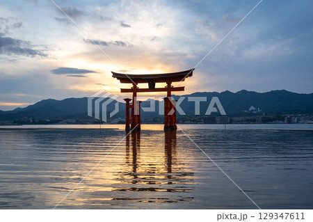 Famous red torii gate of Itsukushima shrine at sunset in Miyajima, Japan Famous red torii gate of Itsukushima shrine at sunset in Miyajima, Japan 129347611