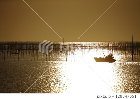 大牟田市　有明海　海苔畑、 129347651