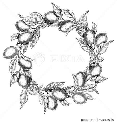 Vector illustration of Lemon Wreath with branches, leaves and citrus fruits. Outline engraving of Lime made with black ink. Etching for packaging, invitations, food branding and label design. 129348010