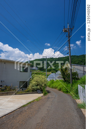 夏の長閑な田舎風景 入道雲 鶴巻・北矢名 夏の長閑な田舎風景 入道雲 鶴巻・北矢名 129348092