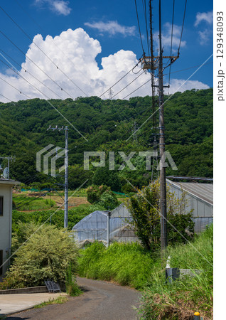 夏の長閑な田舎風景　入道雲　鶴巻・北矢名 129348093