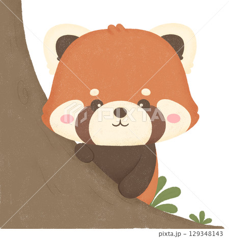 Red panda Red panda 129348143
