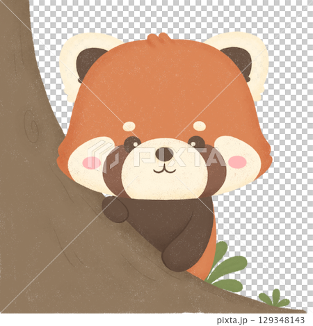Red panda 129348143