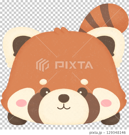 Red panda Red panda 129348146