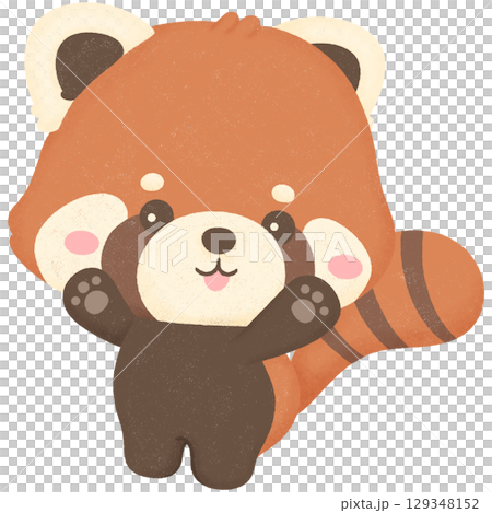 Red panda 129348152