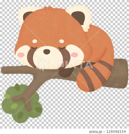 Red panda 129348154
