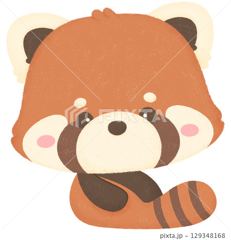 Red panda Red panda 129348168