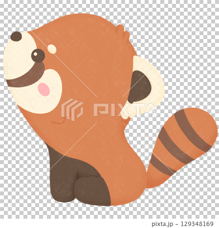 Red panda Red panda 129348169