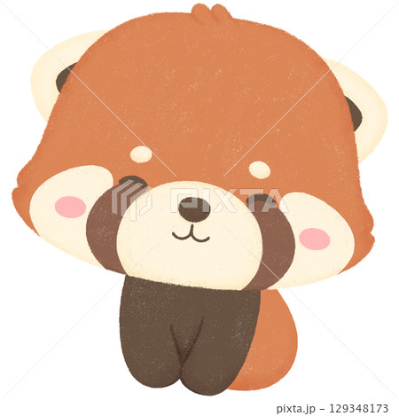 Red panda Red panda 129348173