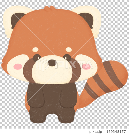 Red panda  129348177