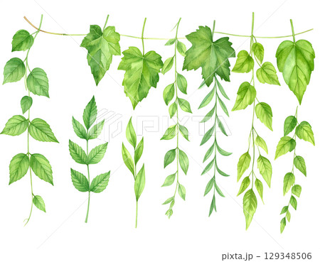 Green Leaves Watercolor Collection 129348506