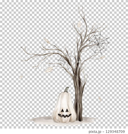 Watercolor illustration Tree without leaves silhouette and pumpkins with a face isolated on white background. Brown dry Trees for Halloween with autumn leaves and grey earth and spider web with spider 129348709
