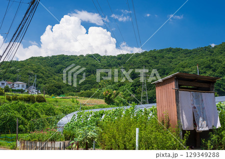 夏の農村　鶴巻・北矢名の長閑な風景 129349288