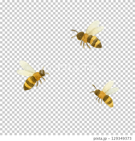 Watercolor series: A swarm of bees seen from a distance. Watercolor series: A swarm of bees seen from a distance. 129349373