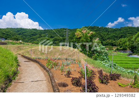 北矢名の農村風景 真夏の原風景 北矢名の農村風景 真夏の原風景 129349382