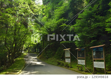 比叡山延暦寺・横川中堂 129349818