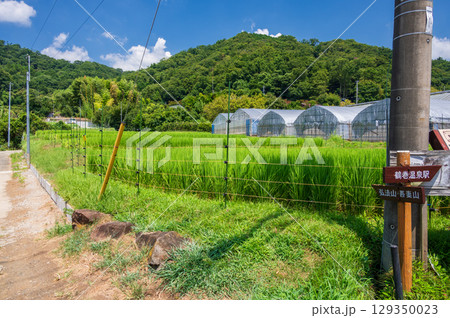 弘法山・吾妻山ふもとの農村風景 弘法山・吾妻山ふもとの農村風景 129350023