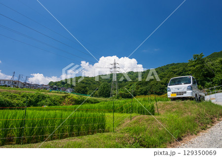 弘法山・吾妻山ふもとの農村風景 129350069