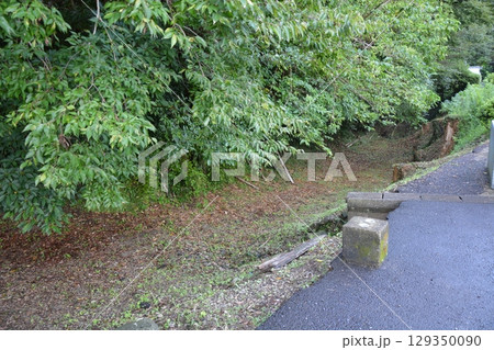 飫肥城の風景 129350090